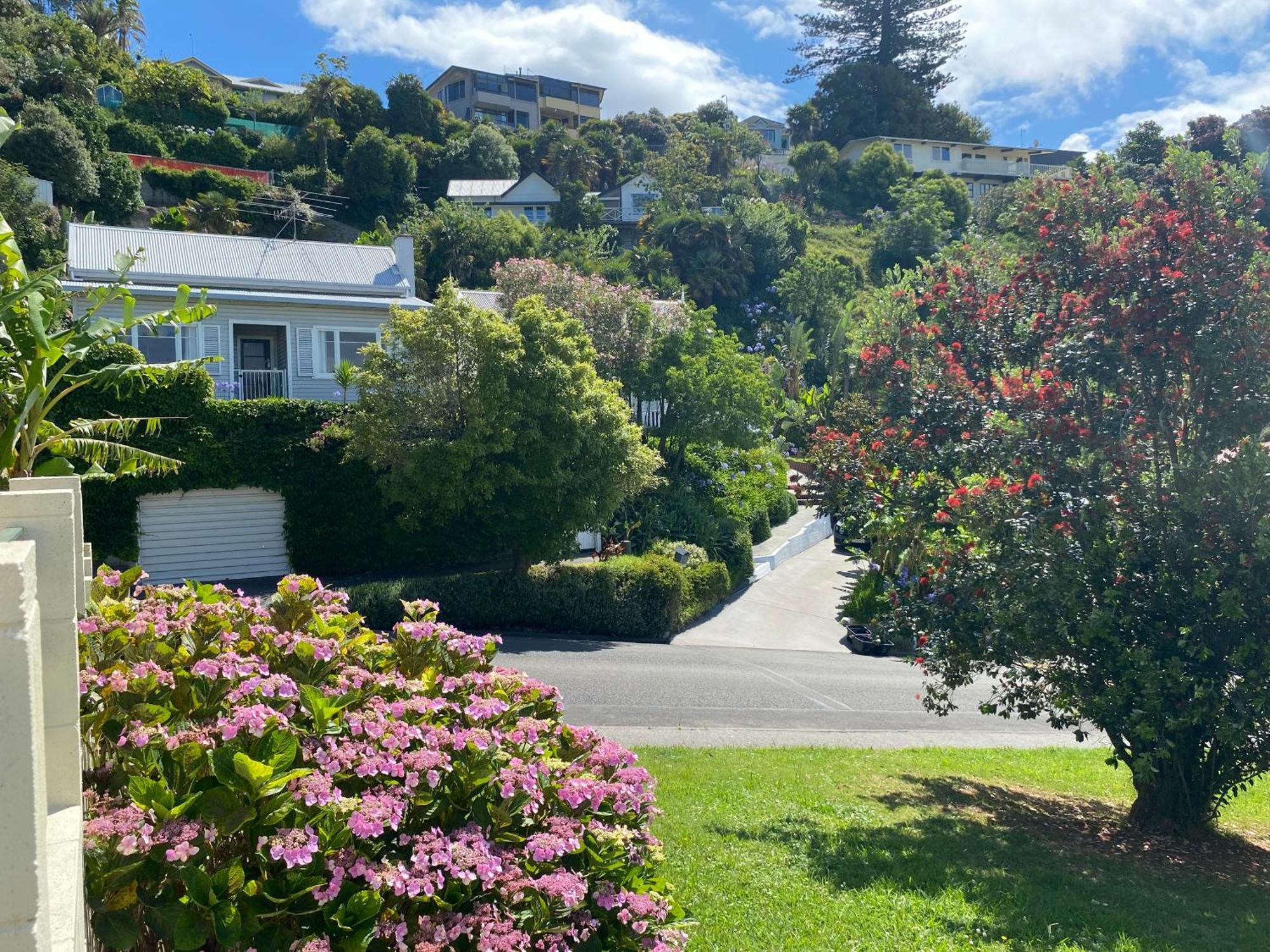 Maison Blue - Chic Garden Apartment Napier Extérieur photo
